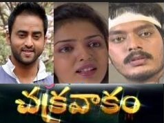 Chakravakam Telugu Serial – E642 – 20th July