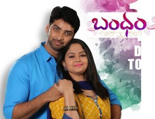 Bandham Telugu Serial – E798 – 18th Aug